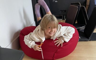 Hartley laying on a red beanbag